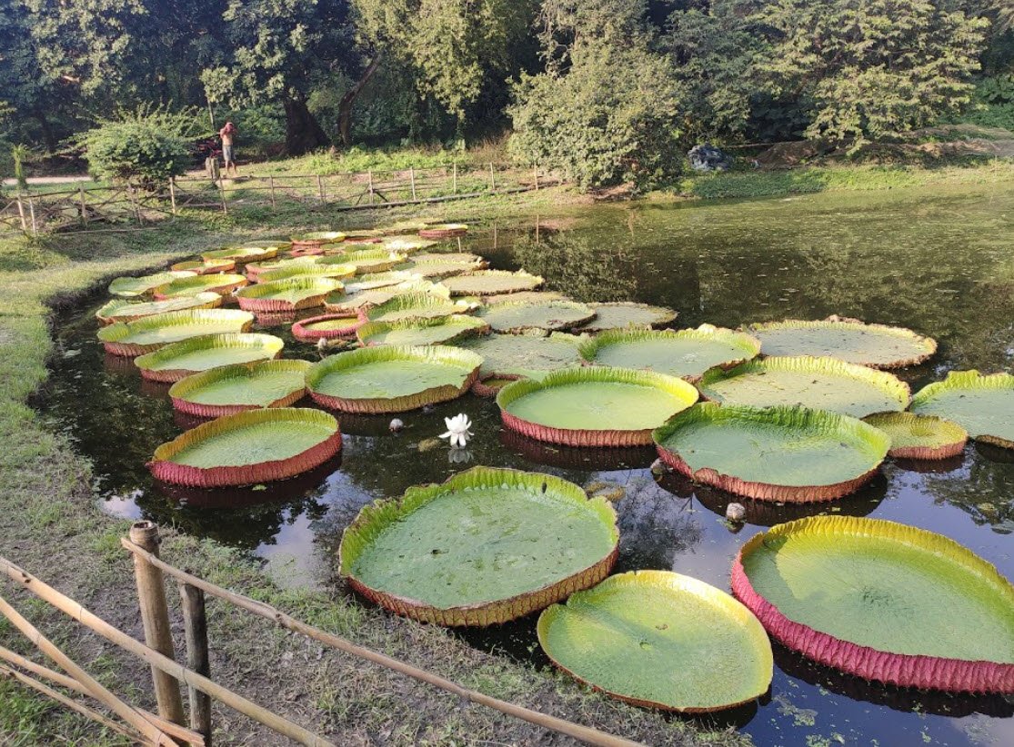 Bayan Botanical Garden, Kuwait